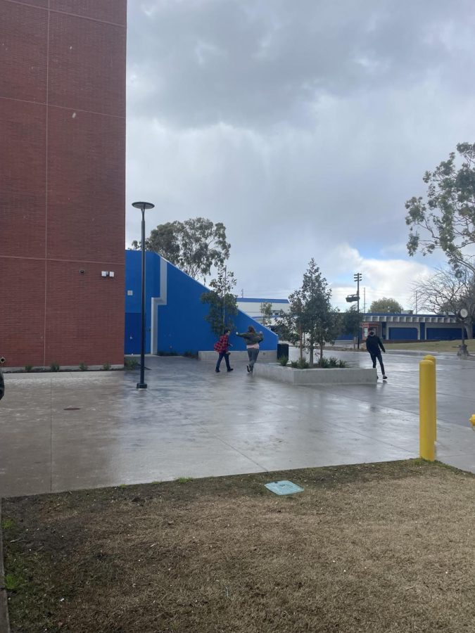 Consistent precipitation in the city of Los Alamitos, residing in Orange County. Photo credit by Sydney Forsyte
