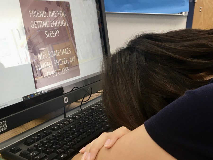 A student falls asleep in class from not getting enough sleep the night before. (Photo Courtesy of Adalie Landa)