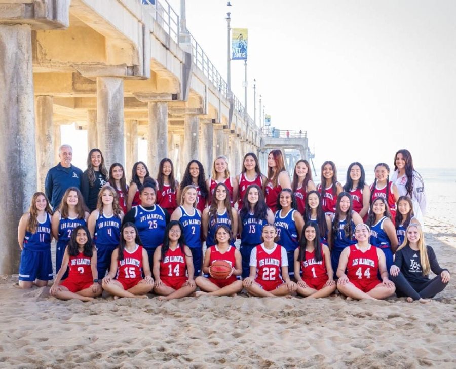 A photo of the entire girls basketball team from the girls basketball website.