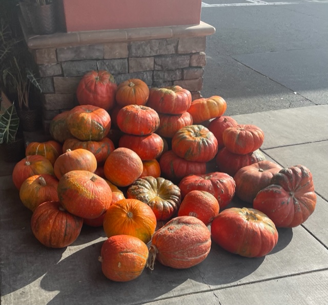 A stack of pumpkins ready for purchase outside a grocery store.