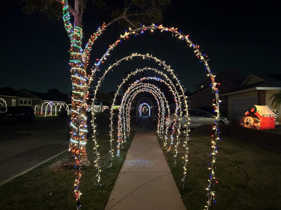 A long row of arches wrapped with colorful lights that stretches down Monogram Ave. 