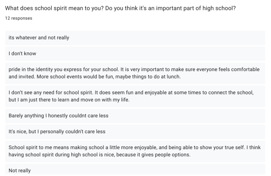 Sample survey responses of what school spirit means to students. 