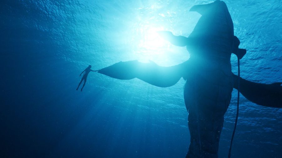 Our parallels with Pandora