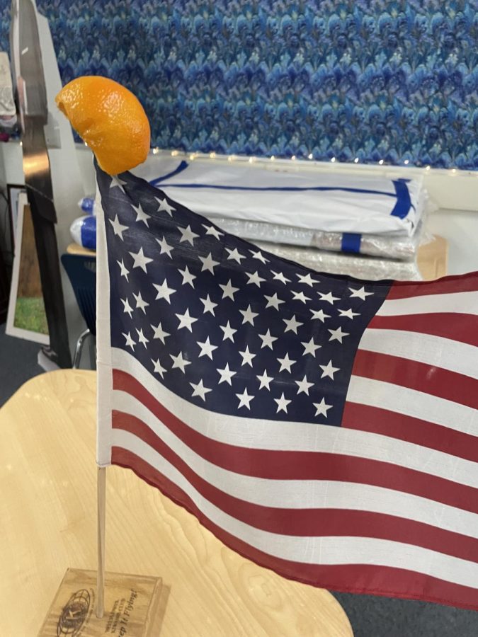 An orange peel, meant to represent Donald Trump, sitting on top of an American flag (Jonas Corliss)