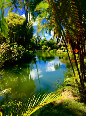 The Polynesian Cultural Center celebrates Pacific Islander Culture by recreating their natural environment.