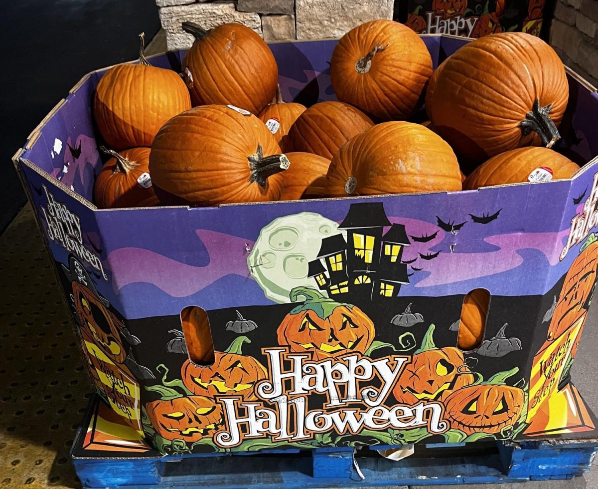 An eerie pumpkin stand at the entrance of the Vons store in Rossmoor... yummy. 