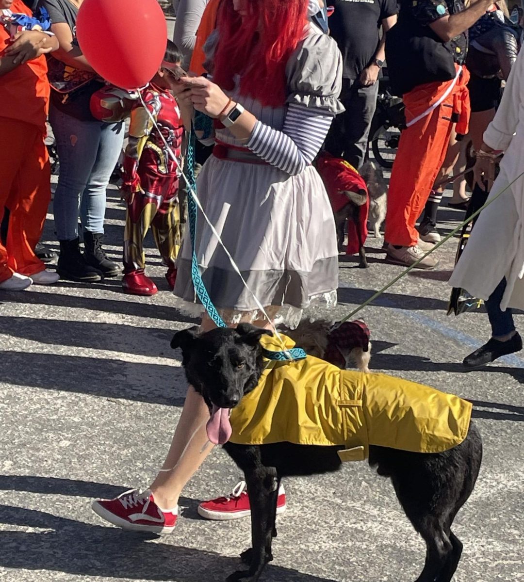 This adorably terrifying pup was dressed up as Georgie from It while his owner dressed up as the killer clown herself.