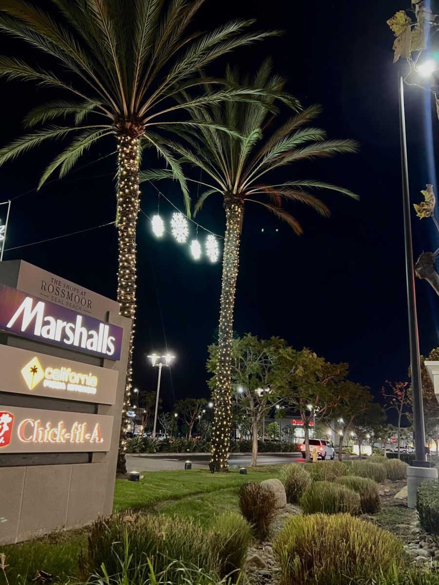 At the Rossmoor Shopping Center, palm trees have been decorated with festive Christmas lights. 