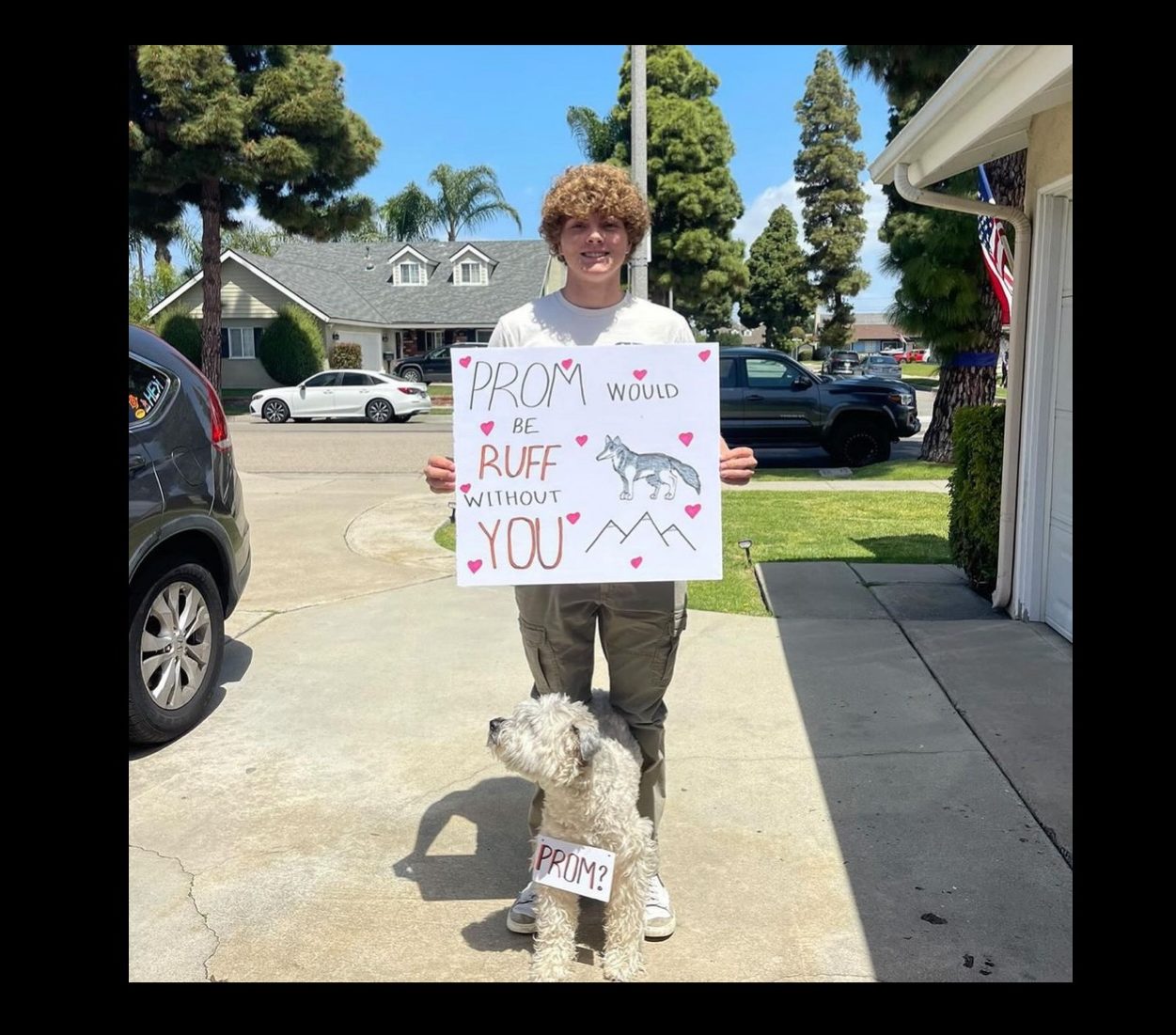 Brock Shriver and his dog promposed to Jamisen Penick in a creative and fun way.