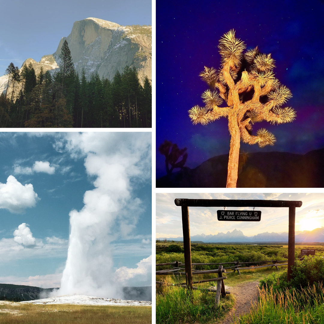 Stunning pictures of Yosemite, Joshua Tree, Yellowstone and Grand Teton National Parks.