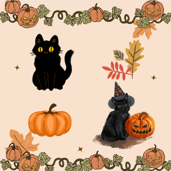 Black cats, symbols of bad luck in certain cultures, are rumored to be sacrified during Halloween. 