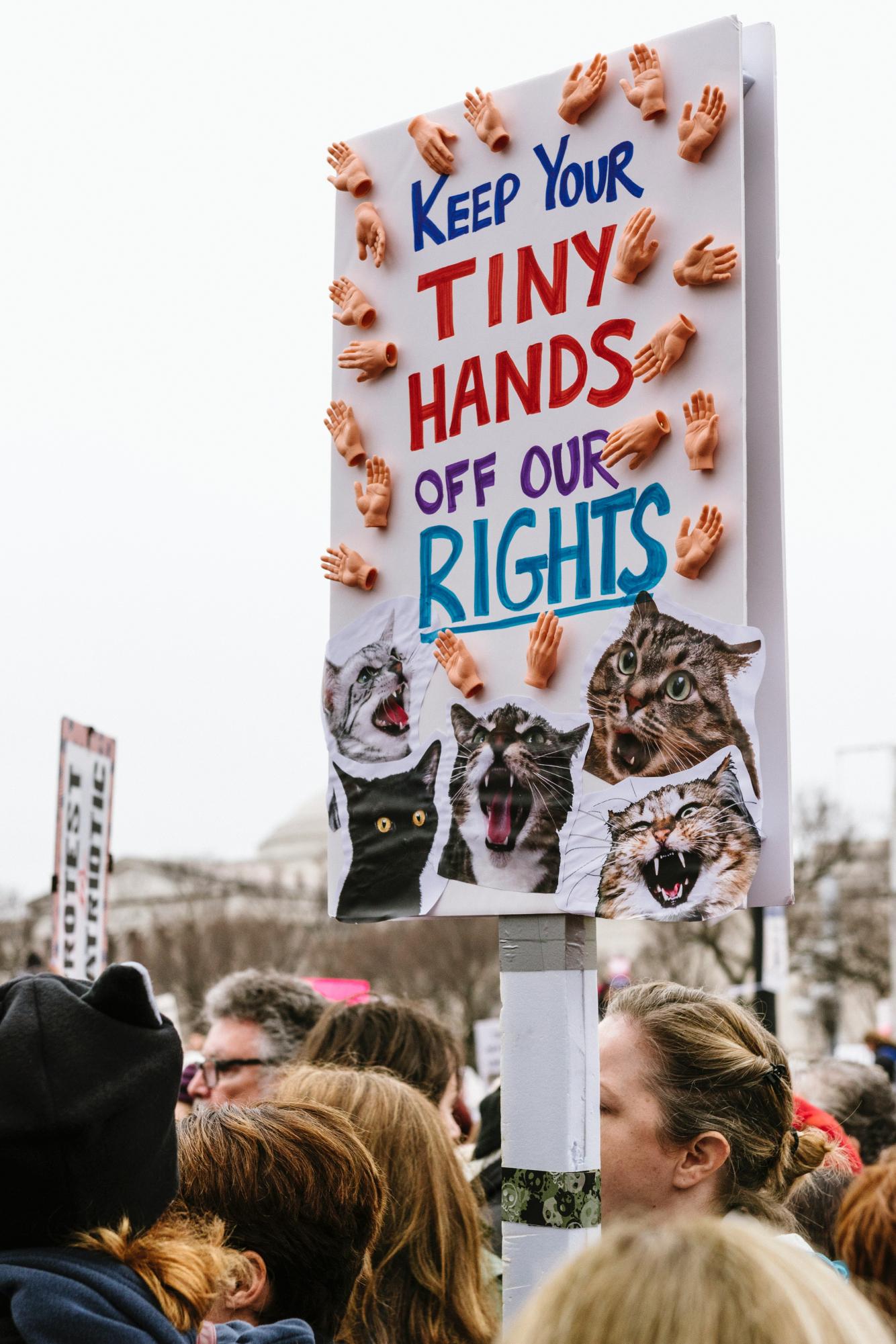 The movement is becoming a part of American feminist discourse, presenting itself as a potential solution to rising abortion rights concerns. (Photo courtesy of Chris Boese, Unsplash)