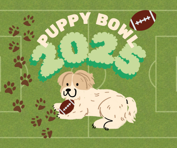  Animal Planet headlined their twenty first annual Puppy Bowl on Feb 9, 2025