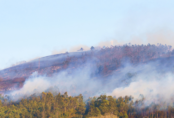 Devastating effects of California wildfires sweep through the lives of Americans. (Photo courtesy of Canva)