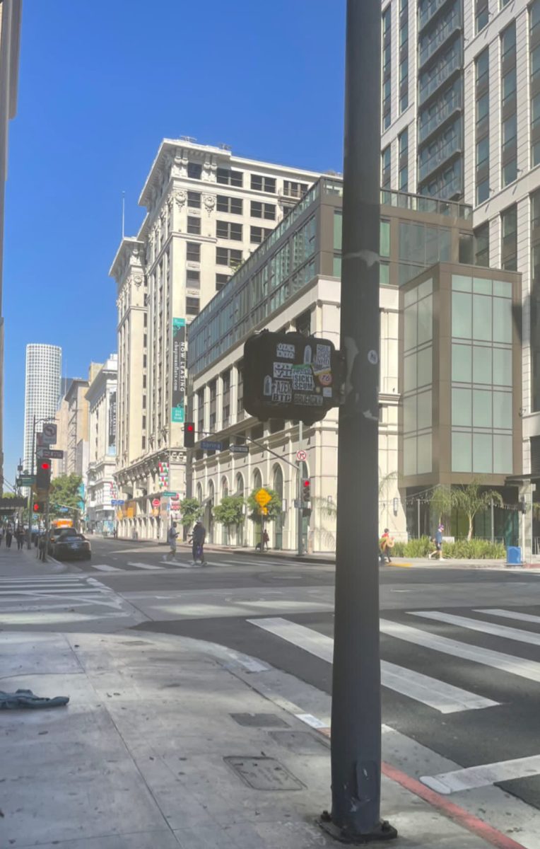 Day-to-day, people are seen not following crossing guidelines.