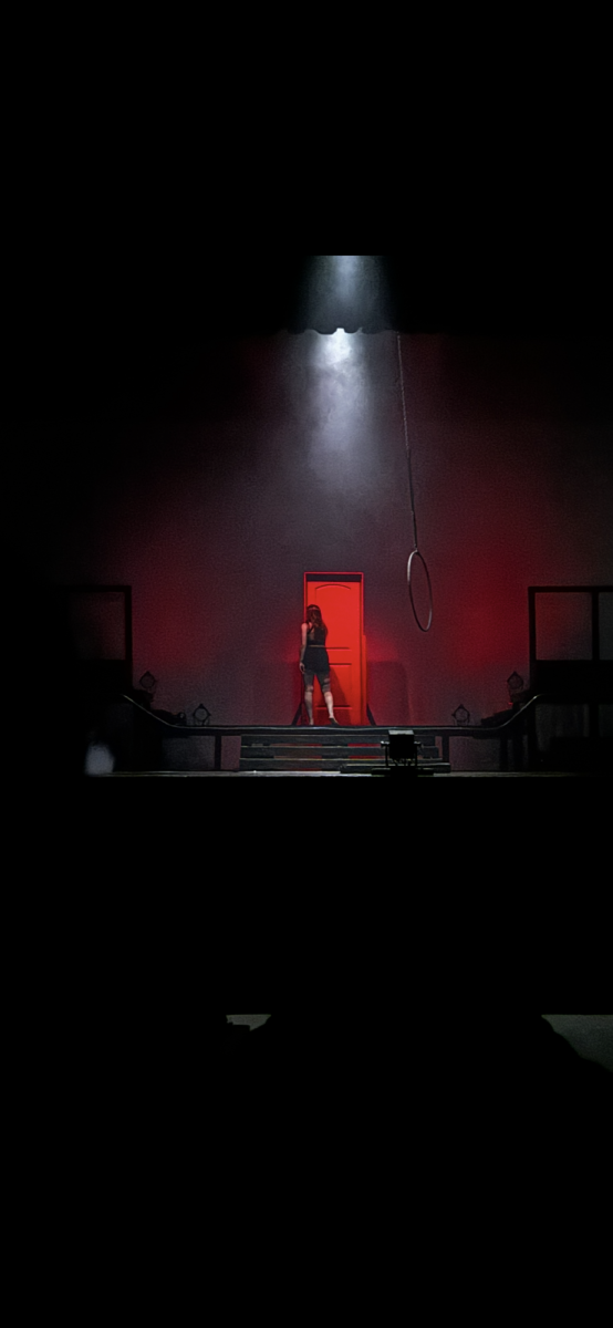 Stunning stage effects, such as the smoke and lighting definitely helped set the mood, especially for the magical red door.