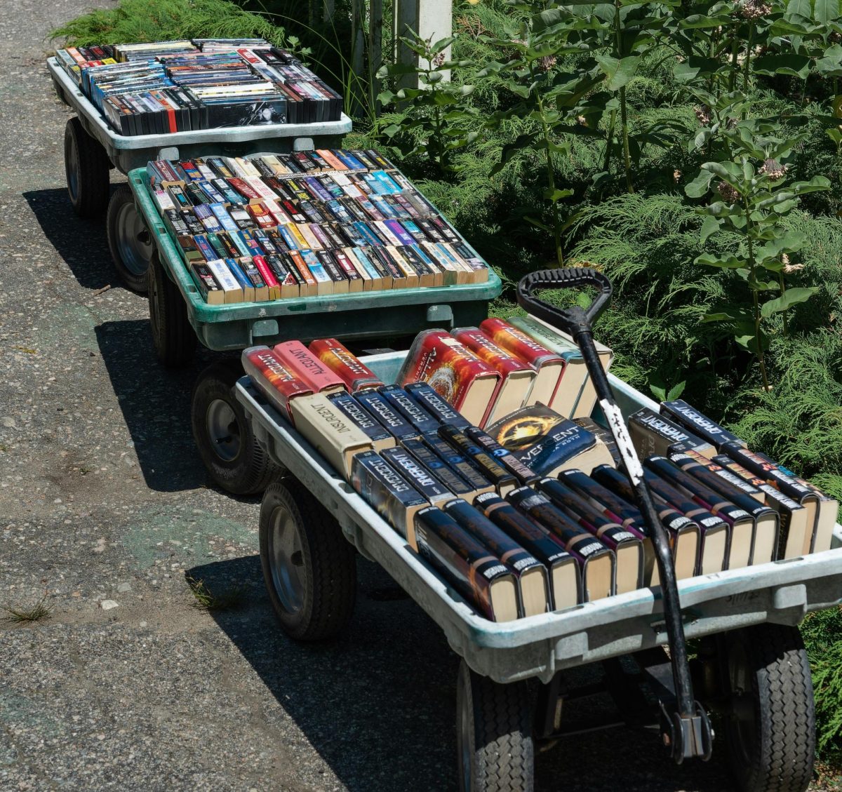 Kindness Club president Khloe Tran's book collection involved contributions from both the LAHS community and the local middle schools. (Photo courtesy of Rusty Watson on Unsplash)