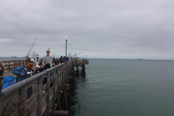 Nearly 400 young fishers cast off of the Seal Beach pier.