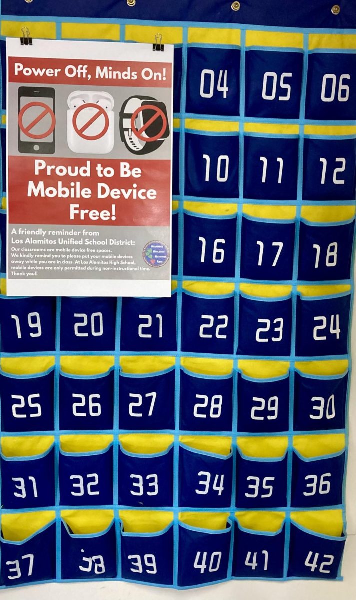 With the implementation of a new phone policy at LAHS, phone caddies and posters explaining the new policy can be found in almost every classroom.