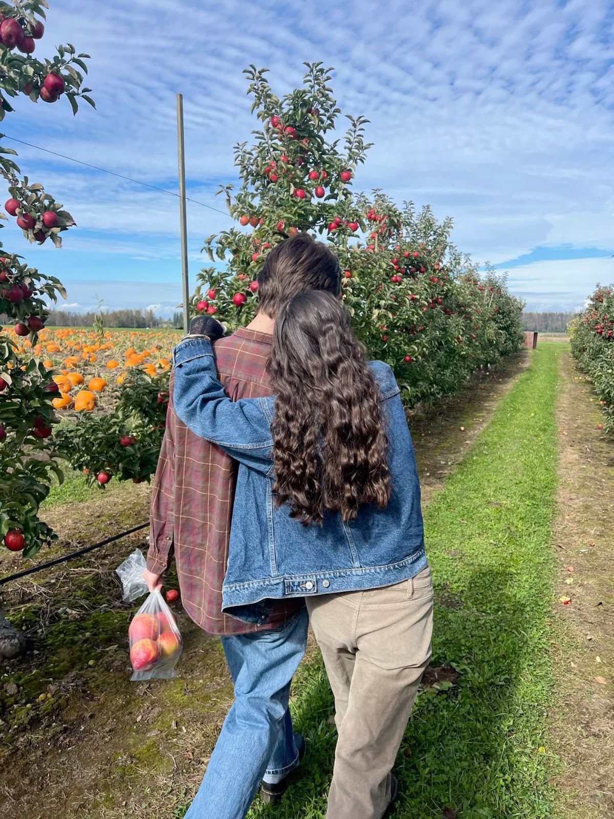 Couple walking around picking apples at an apple orchid.