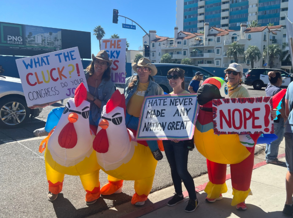 A group of peaceful protesters dressed in chicken costumes and holding signs.