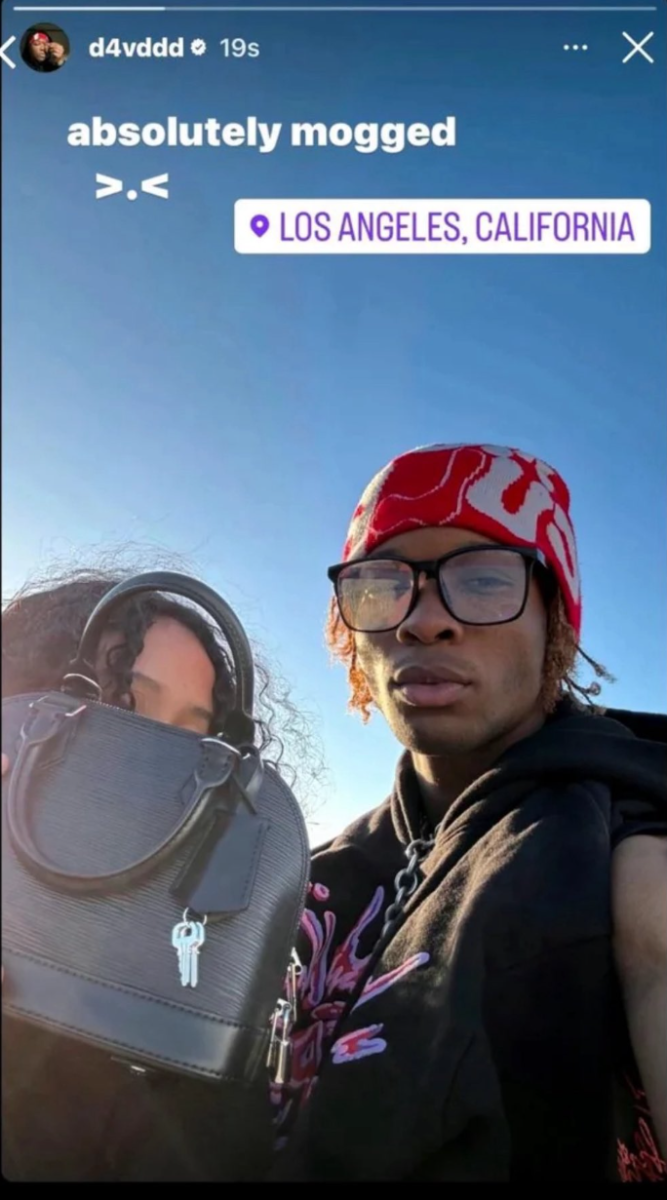 clear pic of them