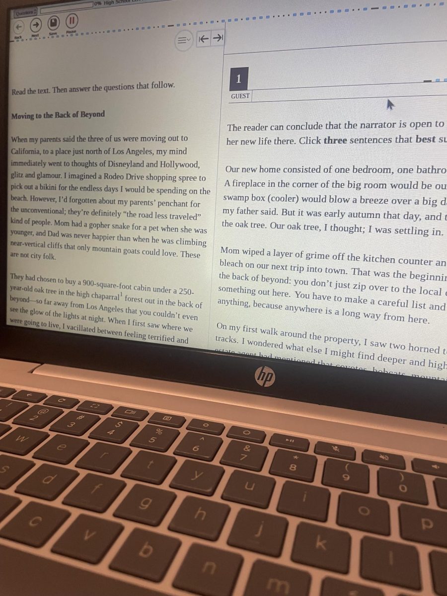 The English portion of the CASPP test will include reading portions