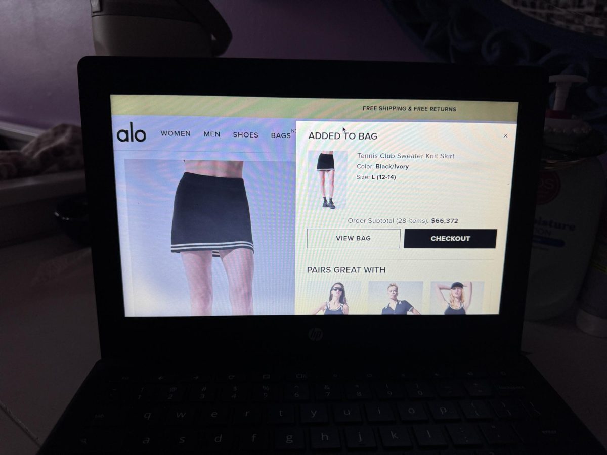 Alo releases a new overpriced but useful product for $1000