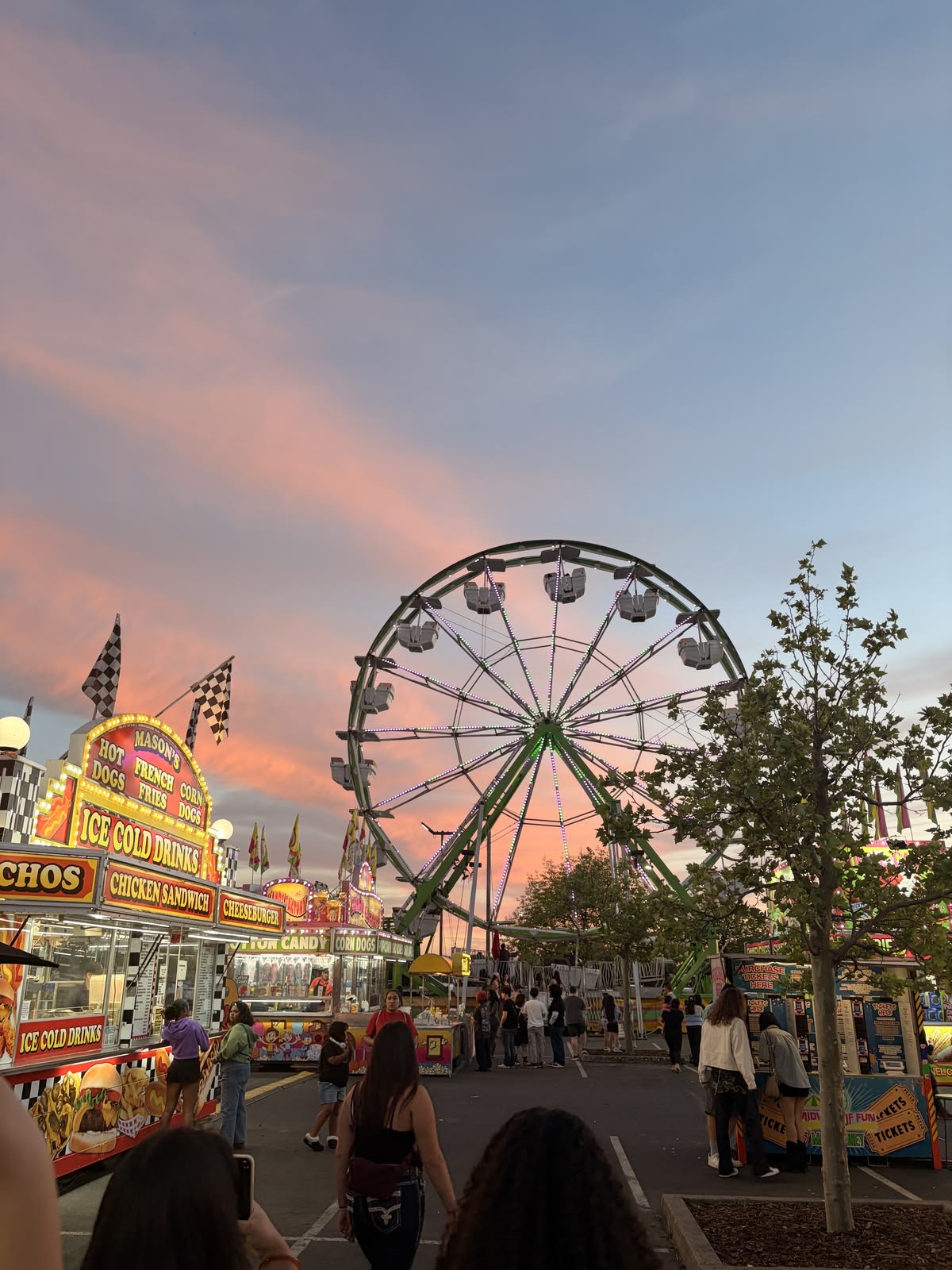 The ferris wheel during sunset at the Orange County Fair in Costa Mesa.