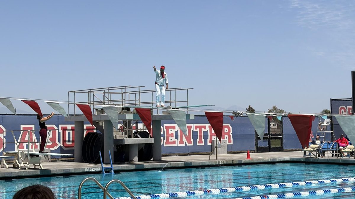 On Tuesday, the dress-up theme is hats vs. sunnies. 6 staff members from each team competed for their own team. Mr. Riehm jumped off the diving board first and pointed to the crowd. Students cheered the loudest for him. 
